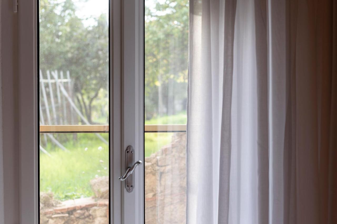 Terra D'Ombra Bed&Breakfast San Gimignano Ngoại thất bức ảnh